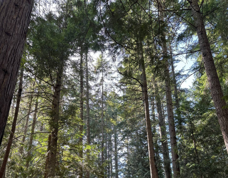 in harmony with nature